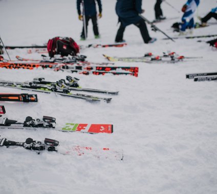 NASTAR The Bionic Skier